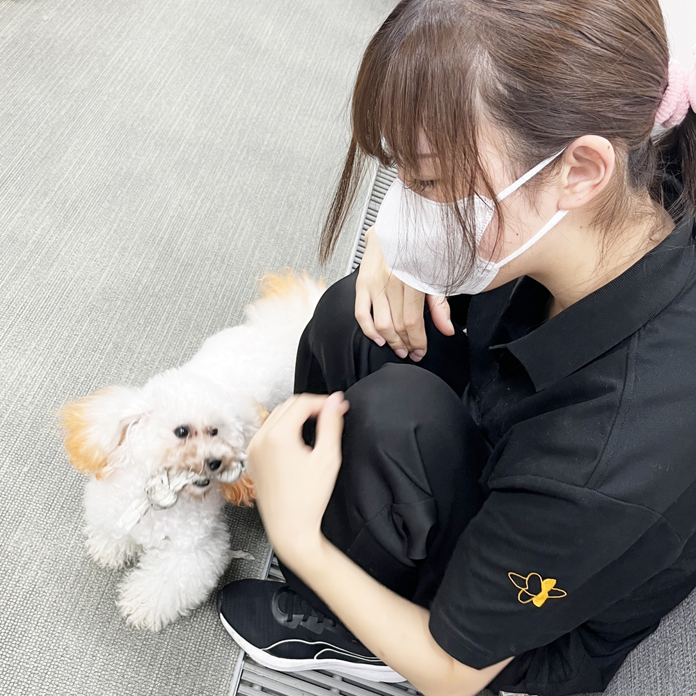 ̎ԁ